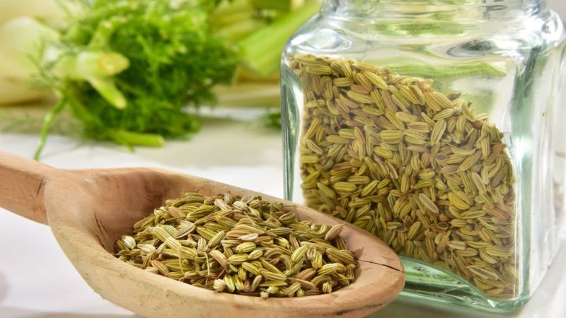 Fennel Seeds: Weight Loss and Other Benefits