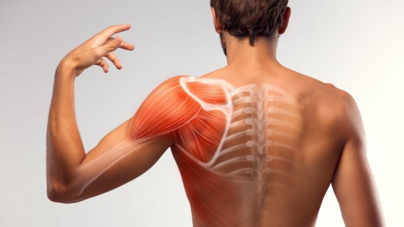 Muscle Strain: Symptoms, Causes and Treatment