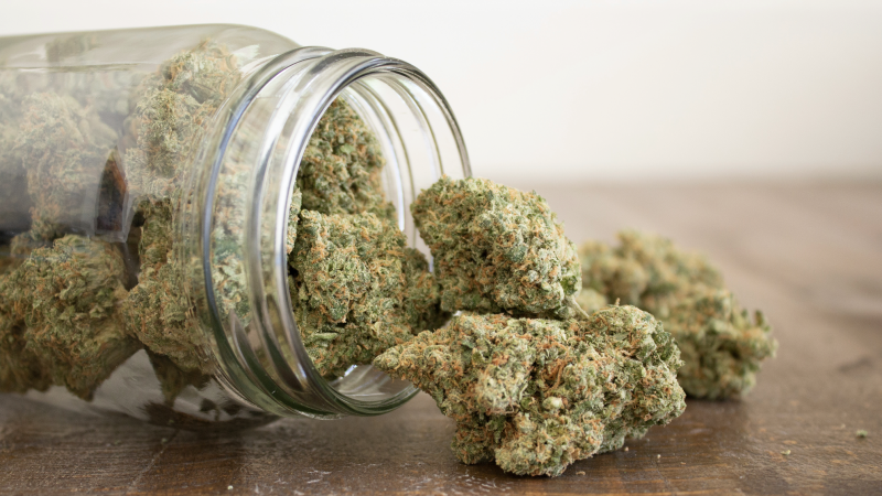 Strategies That Will Help You Get a Weed Dispensary